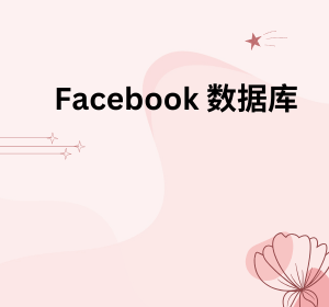 Facebook 数据库