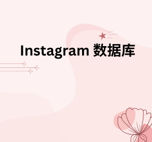 Instagram 数据库