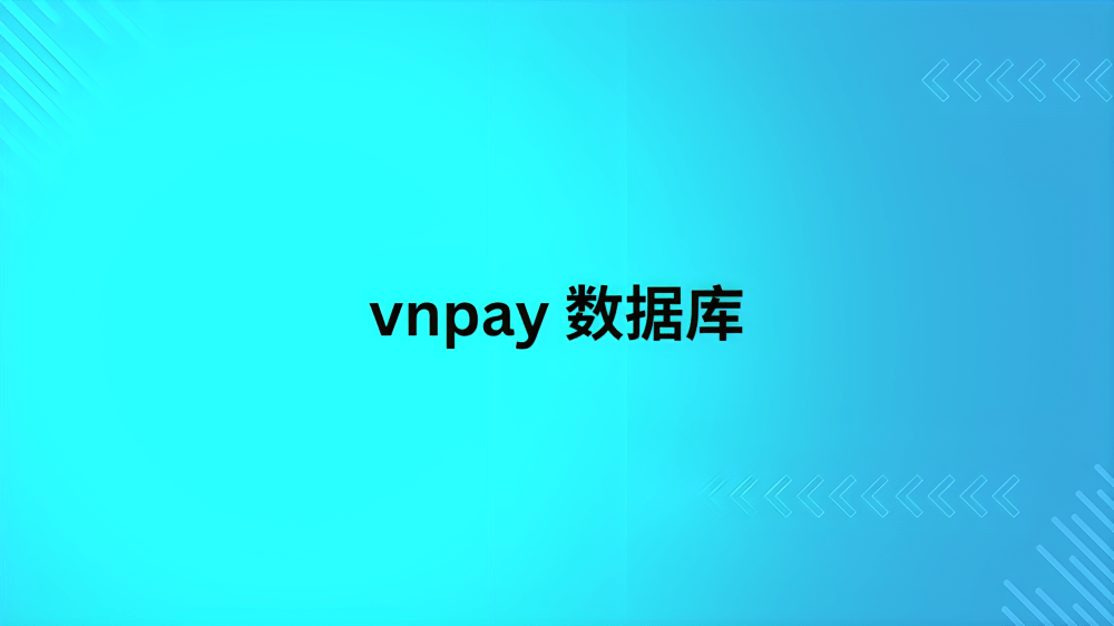 vnpay 数据库